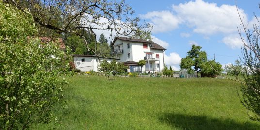 Gontenschwil, Mehrfamilienhaus mit drei Wohneinheiten