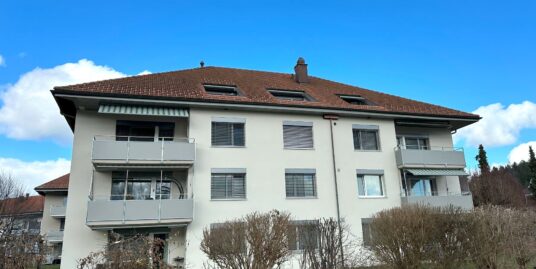 Neu renovierte 5.5 Zimmer-Dachwohnung an ruhiger Lage